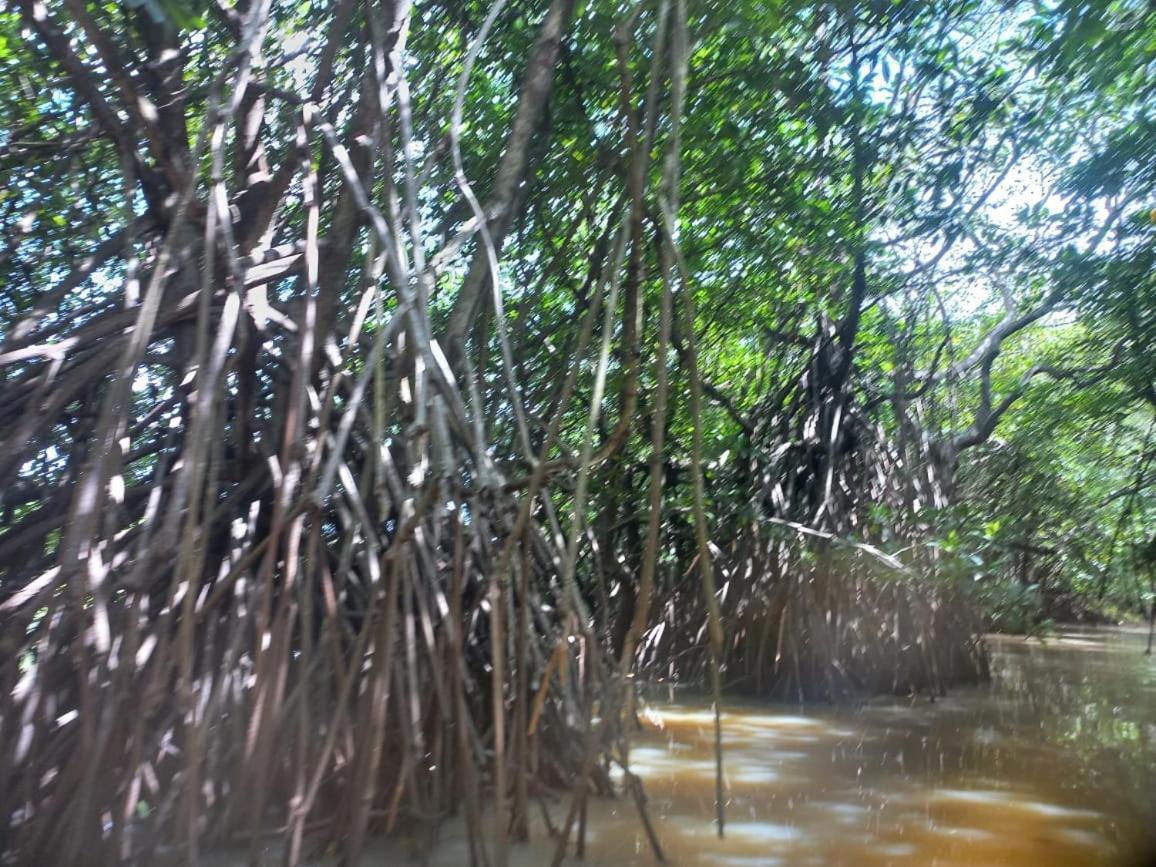 Senu Lagoon Villa แทนกาลเล ภายนอก รูปภาพ